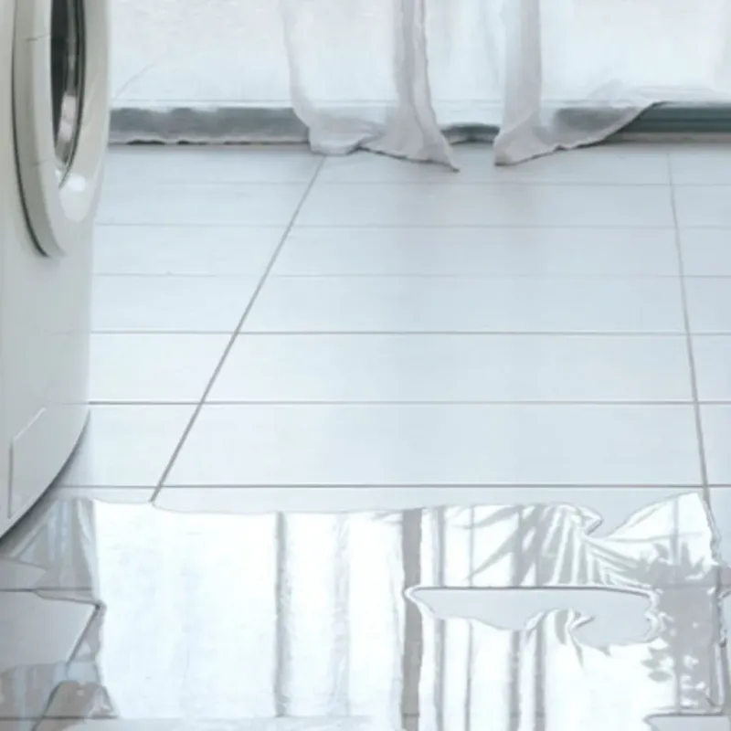 Appliance Leak Cleanup in Fairlea, WV