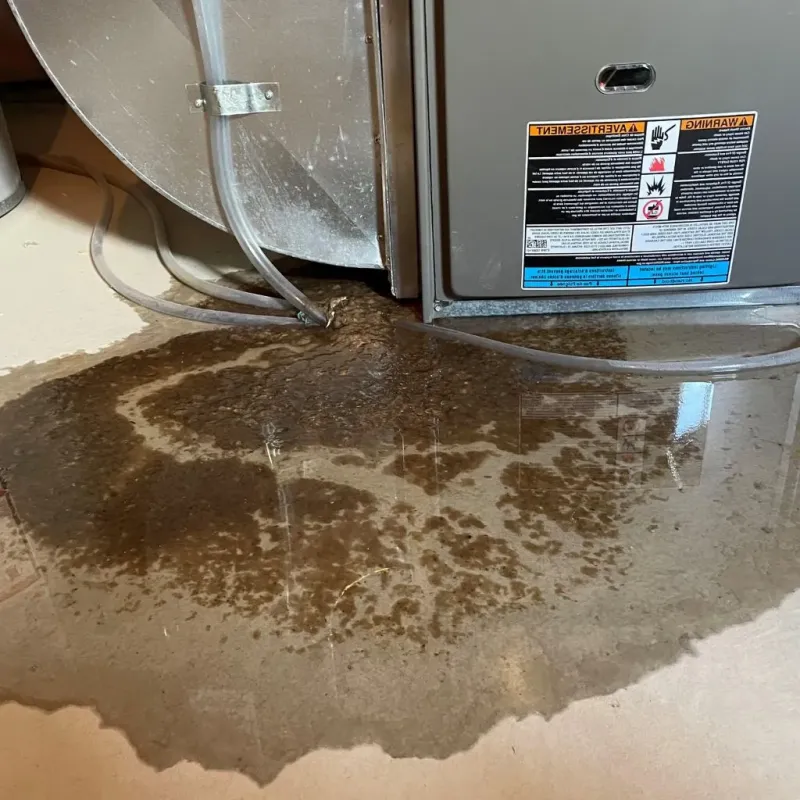 Pipe Burst and Leak Restoration in Fairlea, WV