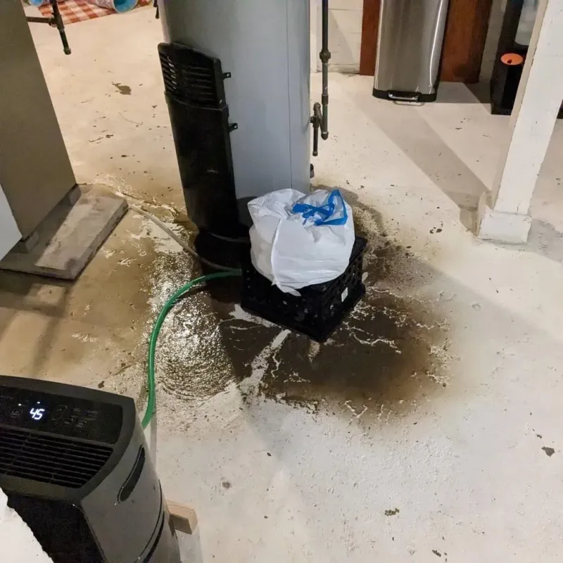 Sewage Backup Cleanup Service in Fairlea, WV